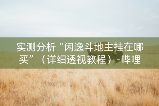 实测分析“闲逸斗地主挂在哪买”（详细透视教程）-哔哩哔哩