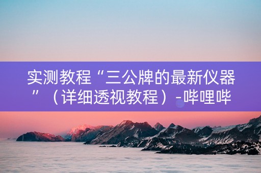 实测教程“三公牌的最新仪器”（详细透视教程）-哔哩哔哩