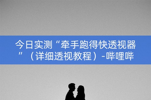 今日实测“牵手跑得快透视器”（详细透视教程）-哔哩哔哩
