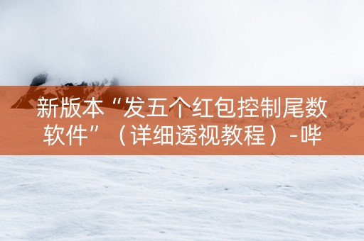 新版本“发五个红包控制尾数软件”（详细透视教程）-哔哩哔哩