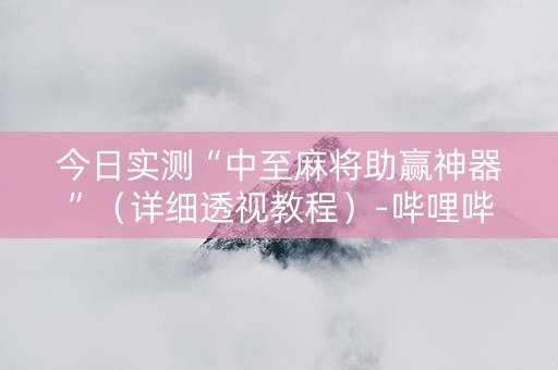 今日实测“中至麻将助赢神器”（详细透视教程）-哔哩哔哩