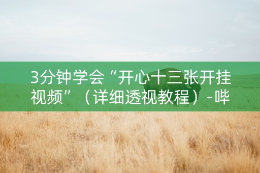 3分钟学会“开心十三张开挂视频”（详细透视教程）-哔哩哔哩