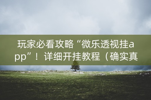 玩家必看攻略“微乐透视挂app”！详细开挂教程（确实真的有挂)-知乎