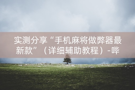 实测分享“手机麻将做弊器最新款”（详细辅助教程）-哔哩哔哩