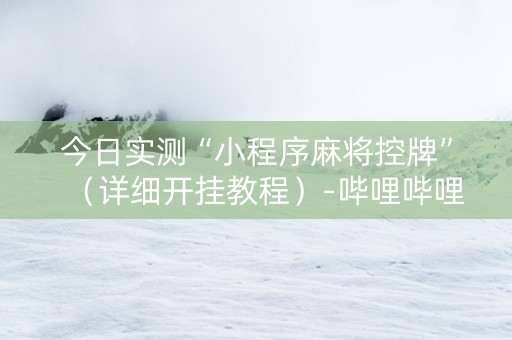 今日实测“小程序麻将控牌”（详细开挂教程）-哔哩哔哩