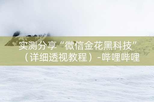 实测分享“微信金花黑科技”（详细透视教程）-哔哩哔哩