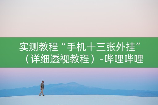 实测教程“手机十三张外挂”（详细透视教程）-哔哩哔哩