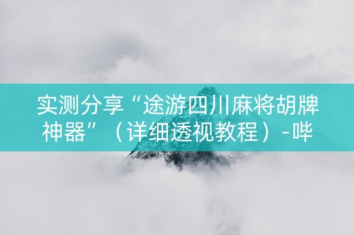 实测分享“途游四川麻将胡牌神器”（详细透视教程）-哔哩哔哩