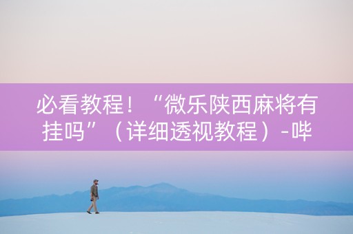 必看教程！“微乐陕西麻将有挂吗”（详细透视教程）-哔哩哔哩