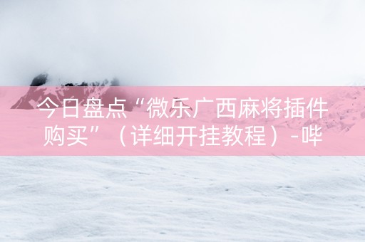 今日盘点“微乐广西麻将插件购买”（详细开挂教程）-哔哩哔哩