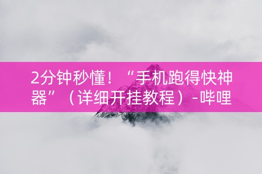 2分钟秒懂！“手机跑得快神器”（详细开挂教程）-哔哩哔哩