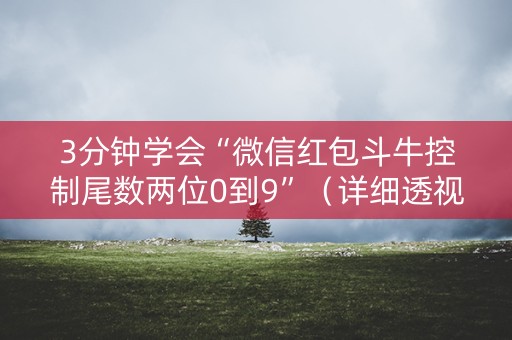 3分钟学会“微信红包斗牛控制尾数两位0到9”（详细透视教程）-哔哩哔哩