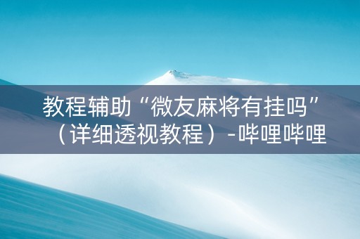 教程辅助“微友麻将有挂吗”（详细透视教程）-哔哩哔哩