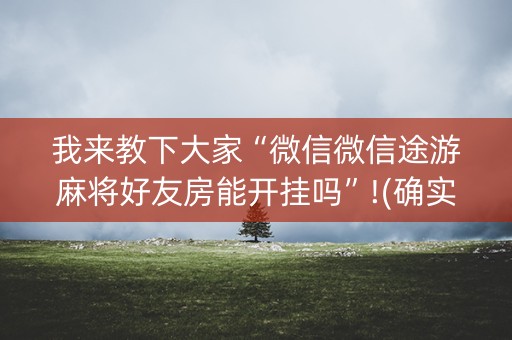 我来教下大家“微信微信途游麻将好友房能开挂吗”!(确实是有挂)-知乎