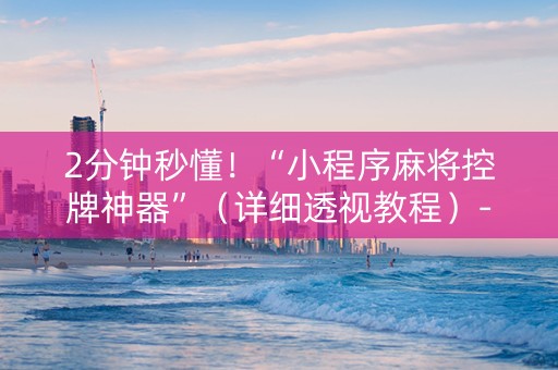 2分钟秒懂！“小程序麻将控牌神器”（详细透视教程）-哔哩哔哩