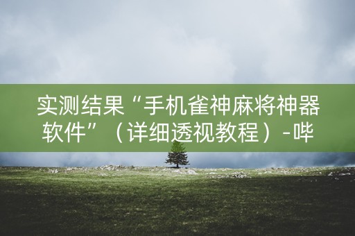 实测结果“手机雀神麻将神器软件”（详细透视教程）-哔哩哔哩