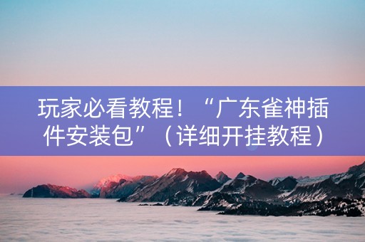 玩家必看教程！“广东雀神插件安装包”（详细开挂教程）-哔哩哔哩