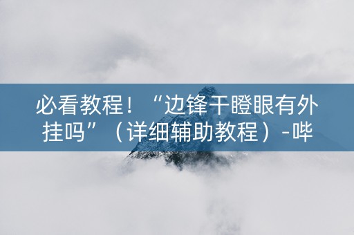 必看教程！“边锋干瞪眼有外挂吗”（详细辅助教程）-哔哩哔哩