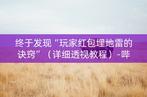 终于发现“玩家红包埋地雷的诀窍”（详细透视教程）-哔哩哔哩