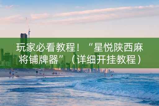 玩家必看教程！“星悦陕西麻将铺牌器”（详细开挂教程）-哔哩哔哩