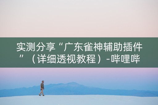 实测分享“广东雀神辅助插件”（详细透视教程）-哔哩哔哩