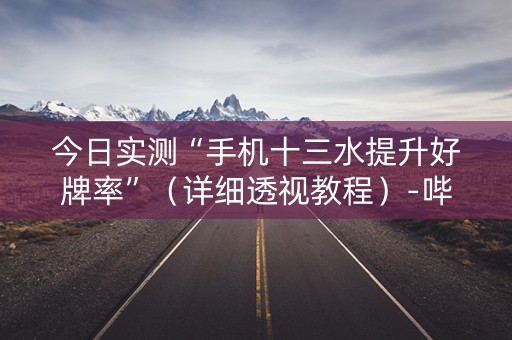 今日实测“手机十三水提升好牌率”（详细透视教程）-哔哩哔哩