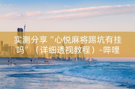 实测分享“心悦麻将踢坑有挂吗”（详细透视教程）-哔哩哔哩