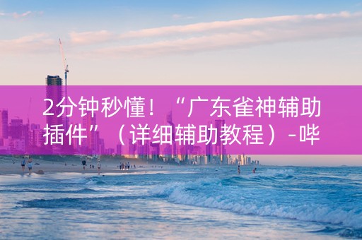 2分钟秒懂！“广东雀神辅助插件”（详细辅助教程）-哔哩哔哩