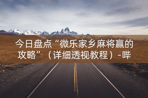 今日盘点“微乐家乡麻将赢的攻略”（详细透视教程）-哔哩哔哩