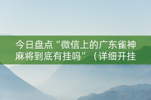 今日盘点“微信上的广东雀神麻将到底有挂吗”（详细开挂教程）-哔哩哔哩