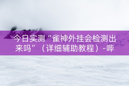 今日实测“雀神外挂会检测出来吗”（详细辅助教程）-哔哩哔哩