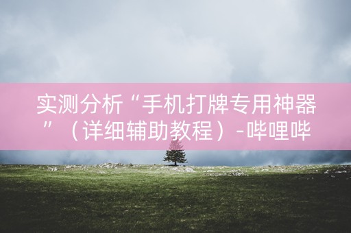 实测分析“手机打牌专用神器”（详细辅助教程）-哔哩哔哩