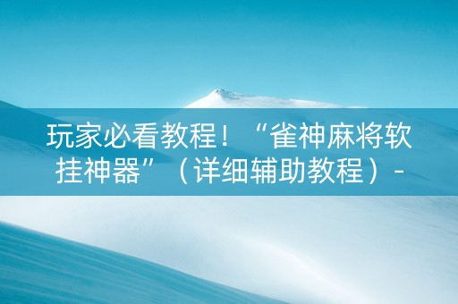 玩家必看教程！“雀神麻将软挂神器”（详细辅助教程）-哔哩哔哩