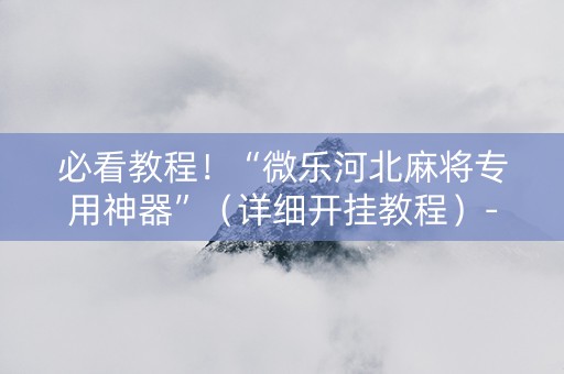 必看教程！“微乐河北麻将专用神器”（详细开挂教程）-哔哩哔哩