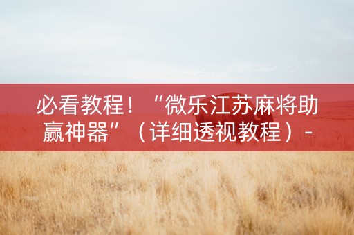 必看教程！“微乐江苏麻将助赢神器”（详细透视教程）-哔哩哔哩
