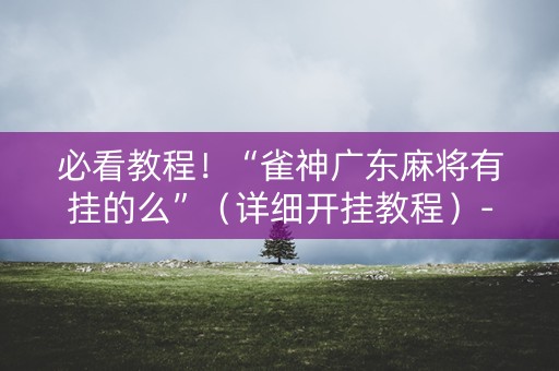 必看教程！“雀神广东麻将有挂的么”（详细开挂教程）-哔哩哔哩