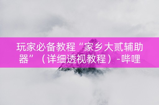 玩家必备教程“家乡大贰辅助器”（详细透视教程）-哔哩哔哩