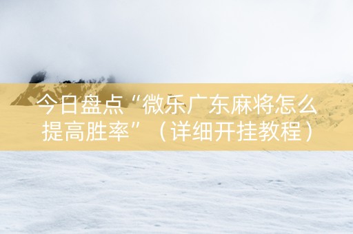 今日盘点“微乐广东麻将怎么提高胜率”（详细开挂教程）-哔哩哔哩