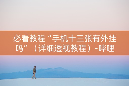 必看教程“手机十三张有外挂吗”（详细透视教程）-哔哩哔哩