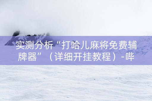 实测分析“打哈儿麻将免费辅牌器”（详细开挂教程）-哔哩哔哩