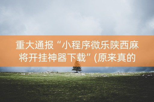 重大通报“小程序微乐陕西麻将开挂神器下载”(原来真的有挂)-知乎