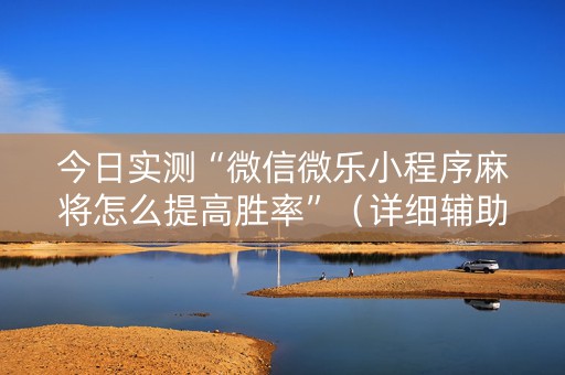 今日实测“微信微乐小程序麻将怎么提高胜率”（详细辅助教程）-哔哩哔哩