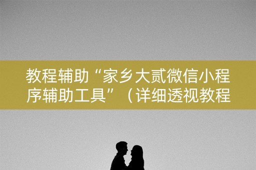 教程辅助“家乡大贰微信小程序辅助工具”（详细透视教程）-哔哩哔哩