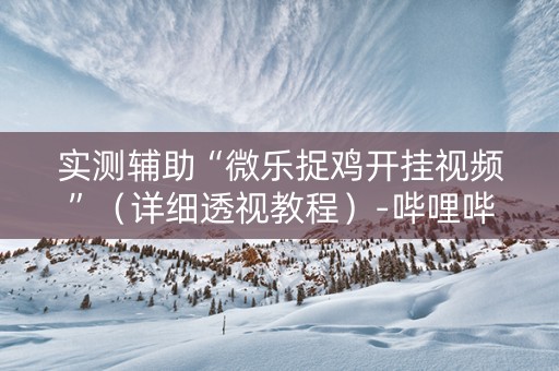 实测辅助“微乐捉鸡开挂视频”（详细透视教程）-哔哩哔哩