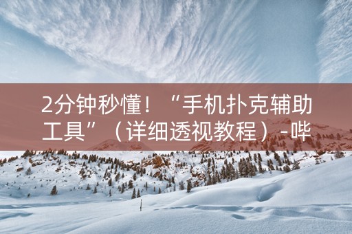 2分钟秒懂！“手机扑克辅助工具”（详细透视教程）-哔哩哔哩