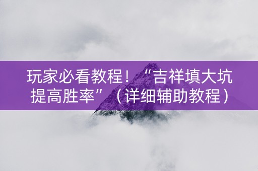 玩家必看教程！“吉祥填大坑提高胜率”（详细辅助教程）-哔哩哔哩