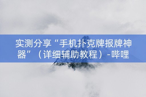 实测分享“手机扑克牌报牌神器”（详细辅助教程）-哔哩哔哩