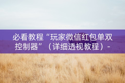 必看教程“玩家微信红包单双控制器”（详细透视教程）-哔哩哔哩