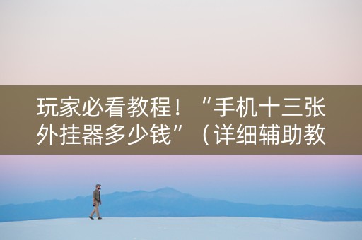 玩家必看教程！“手机十三张外挂器多少钱”（详细辅助教程）-哔哩哔哩