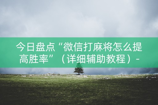 今日盘点“微信打麻将怎么提高胜率”（详细辅助教程）-哔哩哔哩
